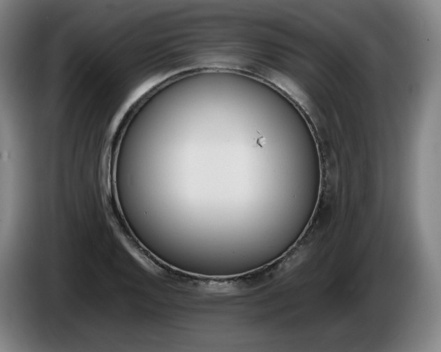 X0000086341128200704202056