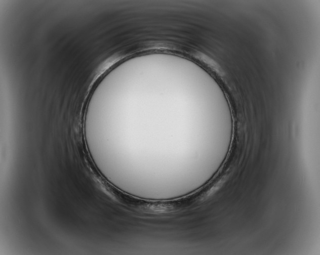 X0000086341129200704202056