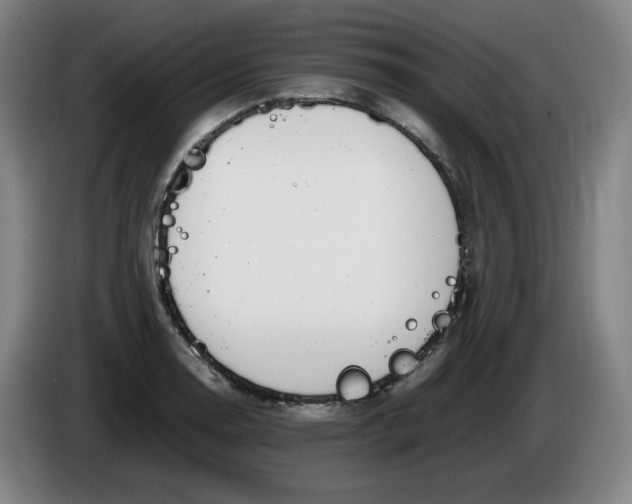 X0000086341130200704202056