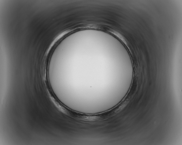 X0000086341131200704202056