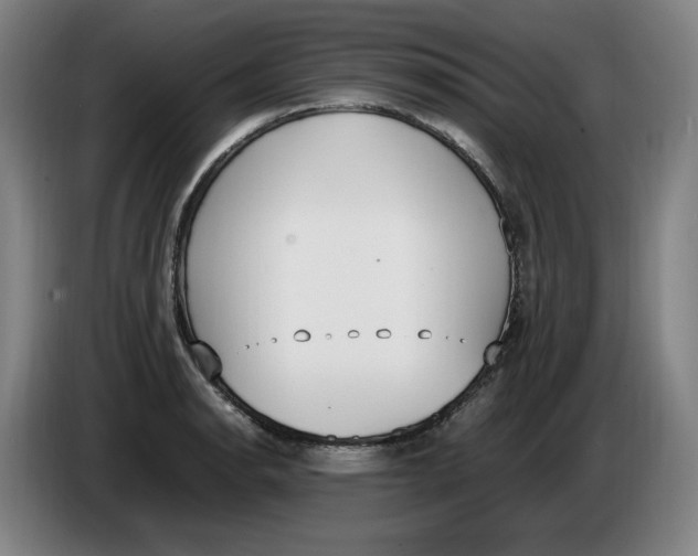 X0000086341134200704202056