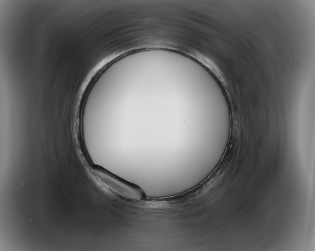 X0000086341136200704202056