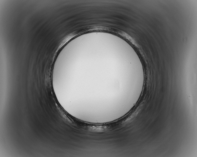 X0000086341137200704202056