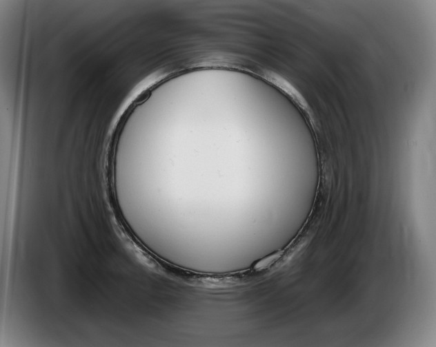 X0000086341138200704202056