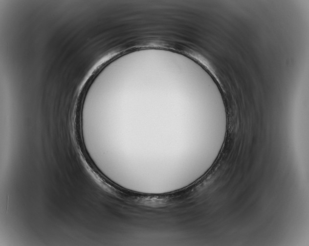 X0000086341139200704202056
