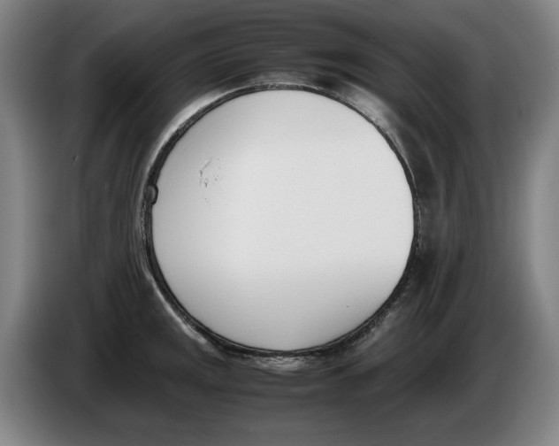 X0000086341141200704202056
