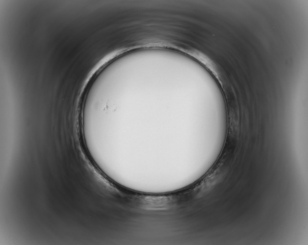 X0000086341142200704202056