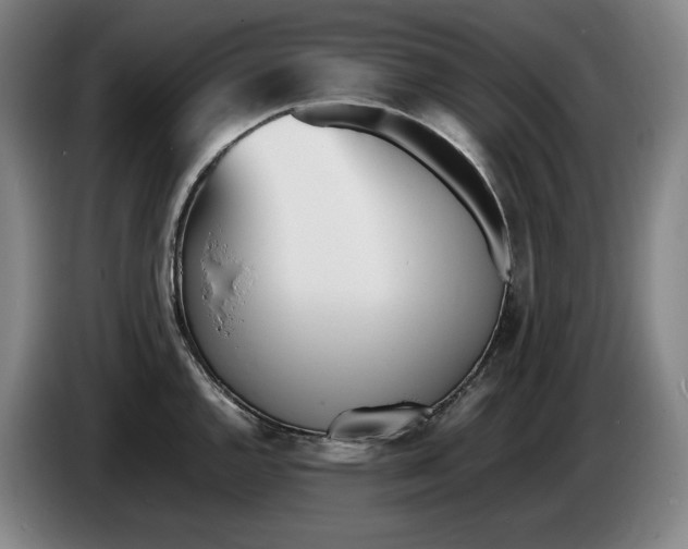 X0000086341144200704202056
