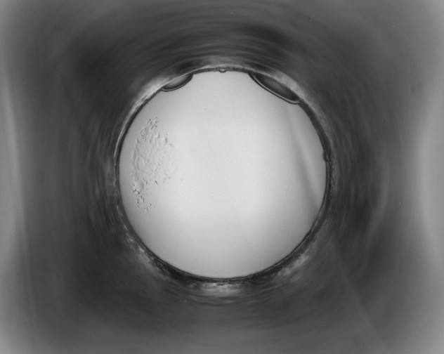 X0000086341145200704202056