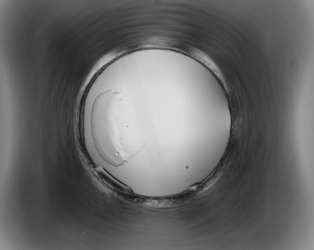 X0000086341146200704202056