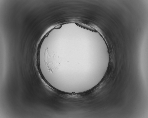 X0000086341147200704202056