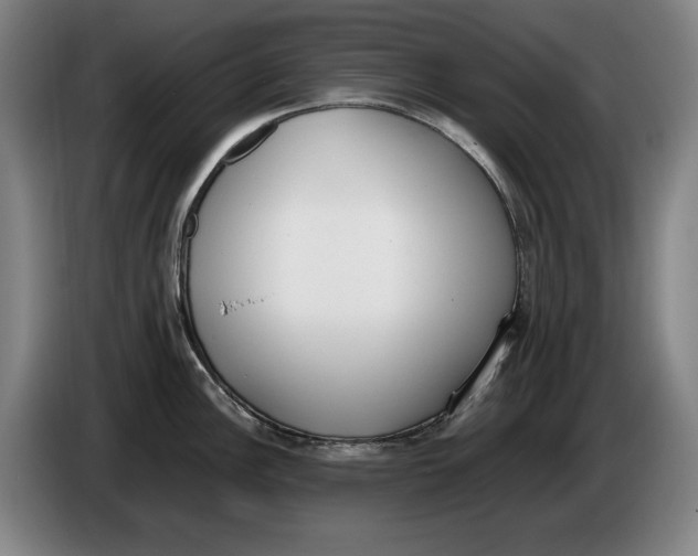 X0000086341148200704202056