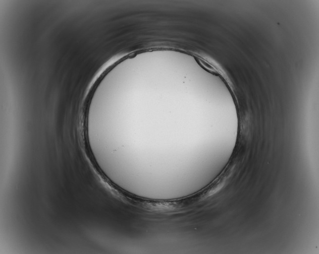 X0000086341149200704202056