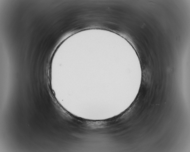 X0000086341150200704202056