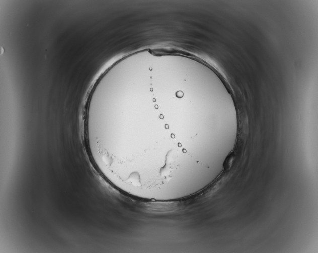 X0000086341151200704202056