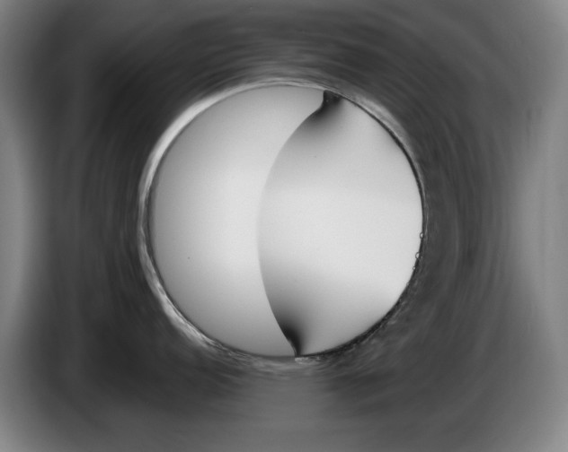 X0000086341152200704202056