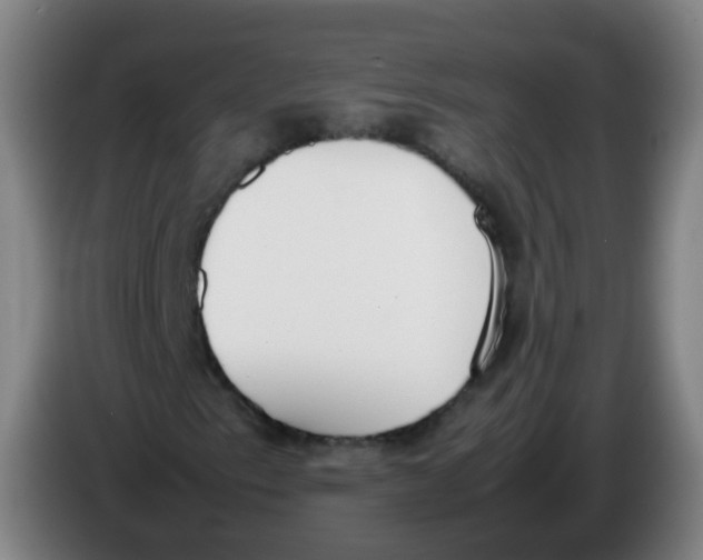 X0000086341153200704202055
