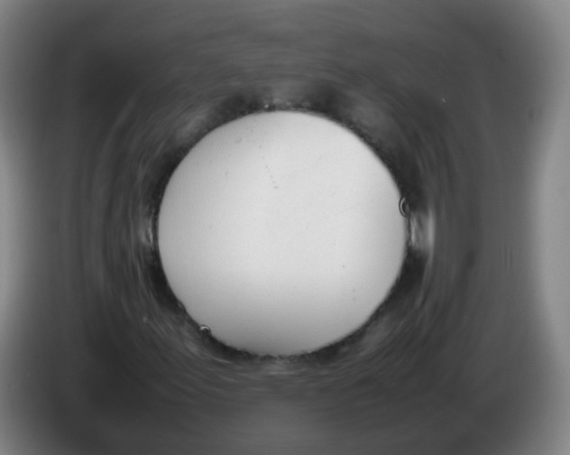 X0000086341155200704202055