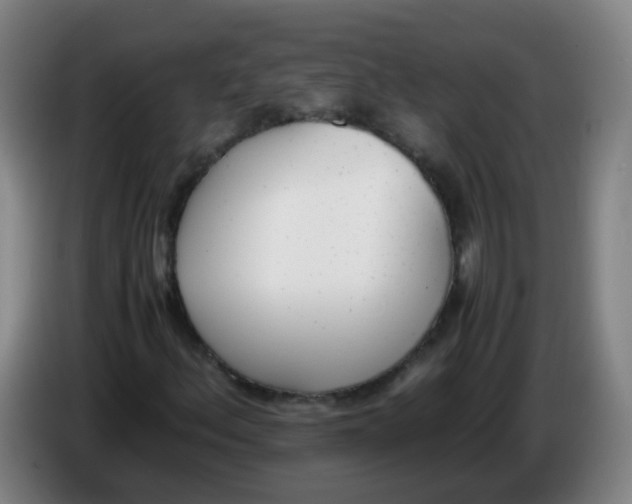 X0000086341156200704202055