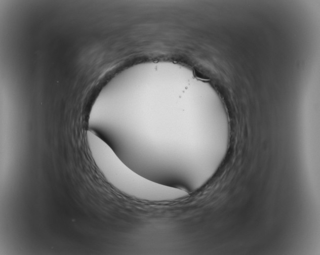 X0000086341157200704202055