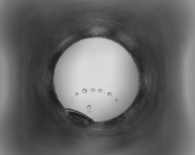 X0000086341158200704202055