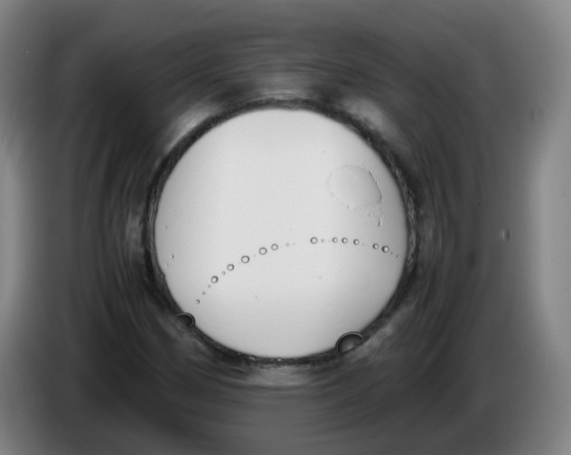 X0000086341162200704202055