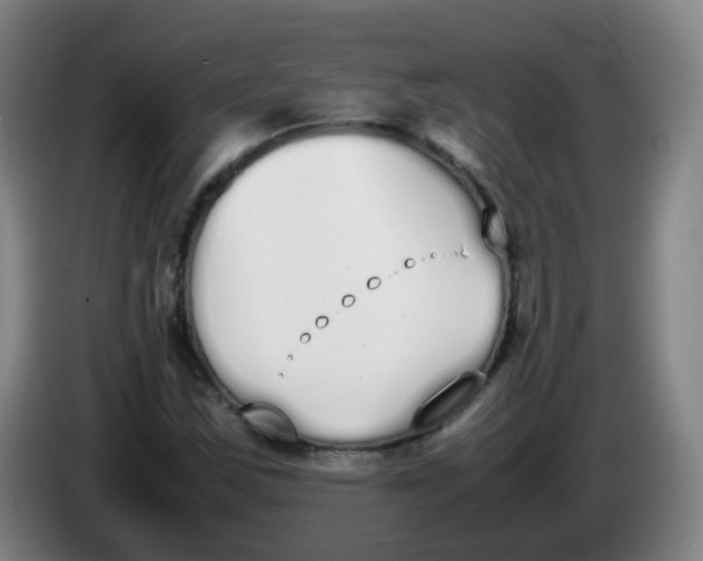 X0000086341163200704202055