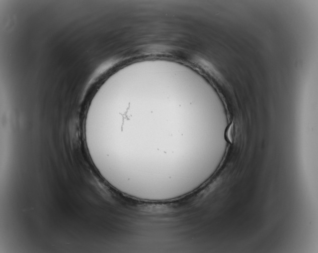X0000086341164200704202055