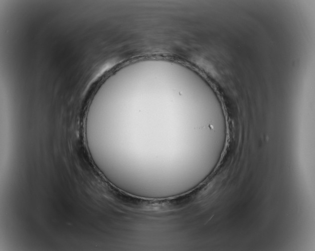 X0000086341165200704202055