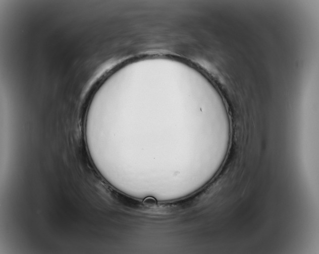 X0000086341167200704202055