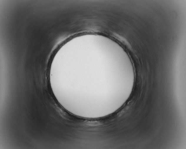 X0000086341168200704202055