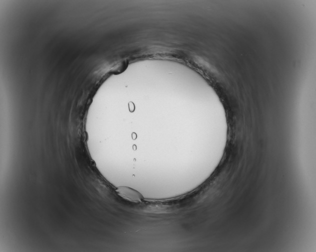 X0000086341169200704202055