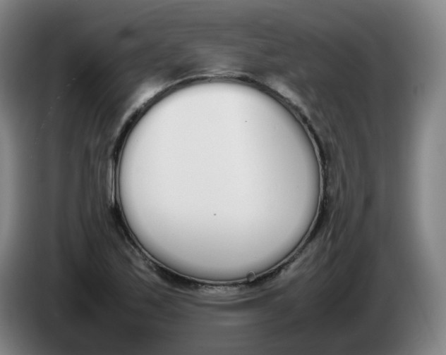 X0000086341171200704202055