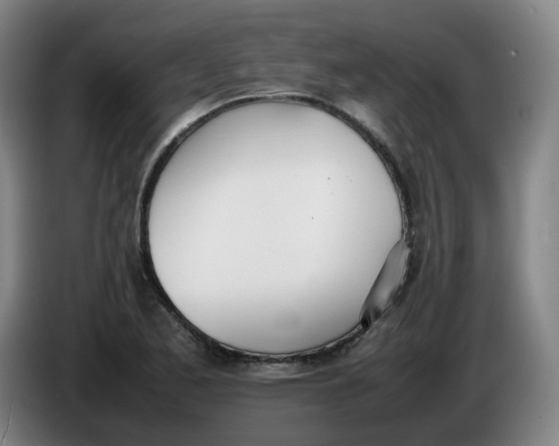 X0000086341173200704202055
