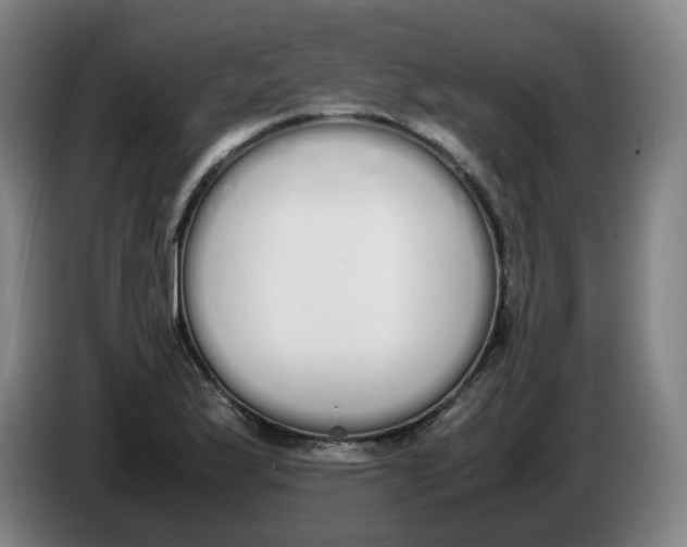 X0000086341175200704202055