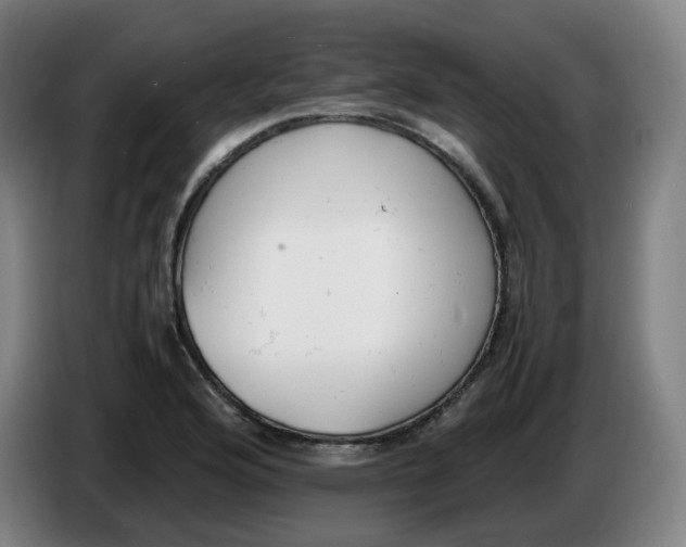 X0000086341176200704202055