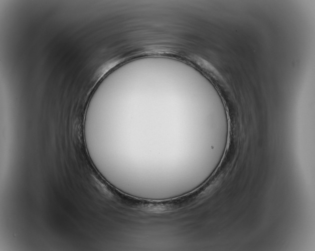 X0000086341177200704202055
