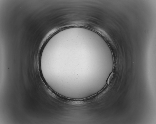 X0000086341180200704202055