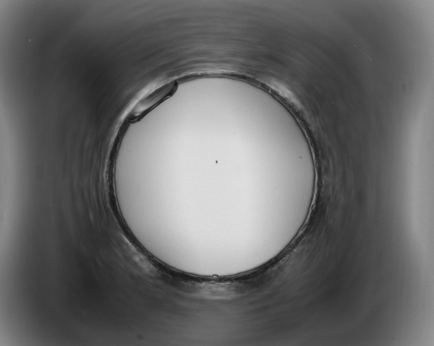 X0000086341181200704202055