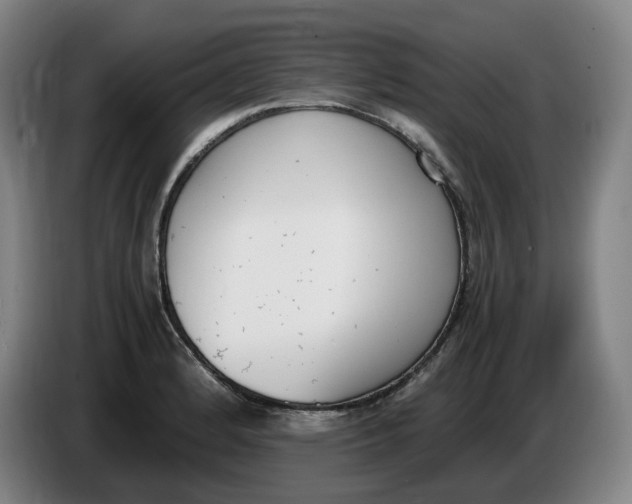 X0000086341184200704202055