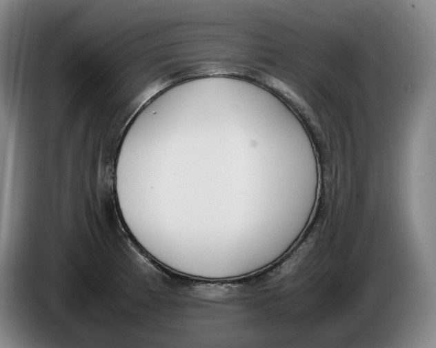 X0000086341185200704202055