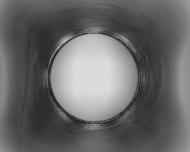 X0000086341186200704202055