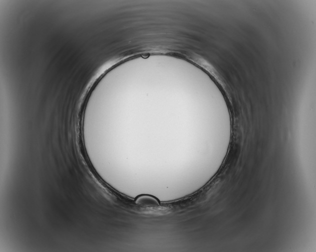 X0000086341187200704202055