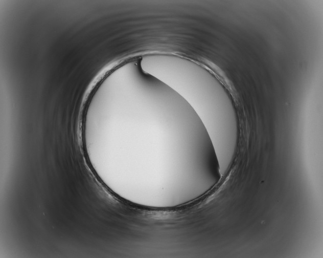 X0000086341188200704202055
