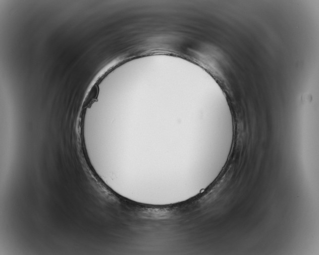 X0000086341190200704202055