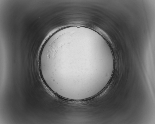 X0000086341192200704202055