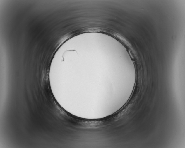 X0000086341193200704202055
