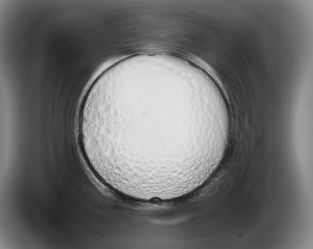 X0000086341195200704202055