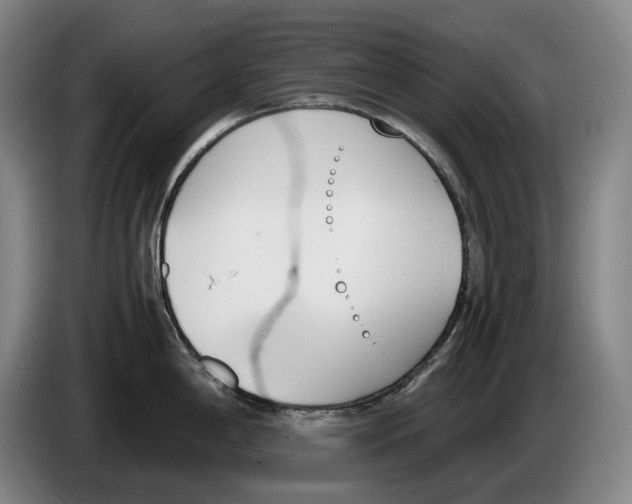 X0000086341198200704202055
