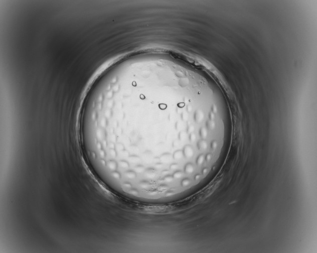 X0000086341199200704202055